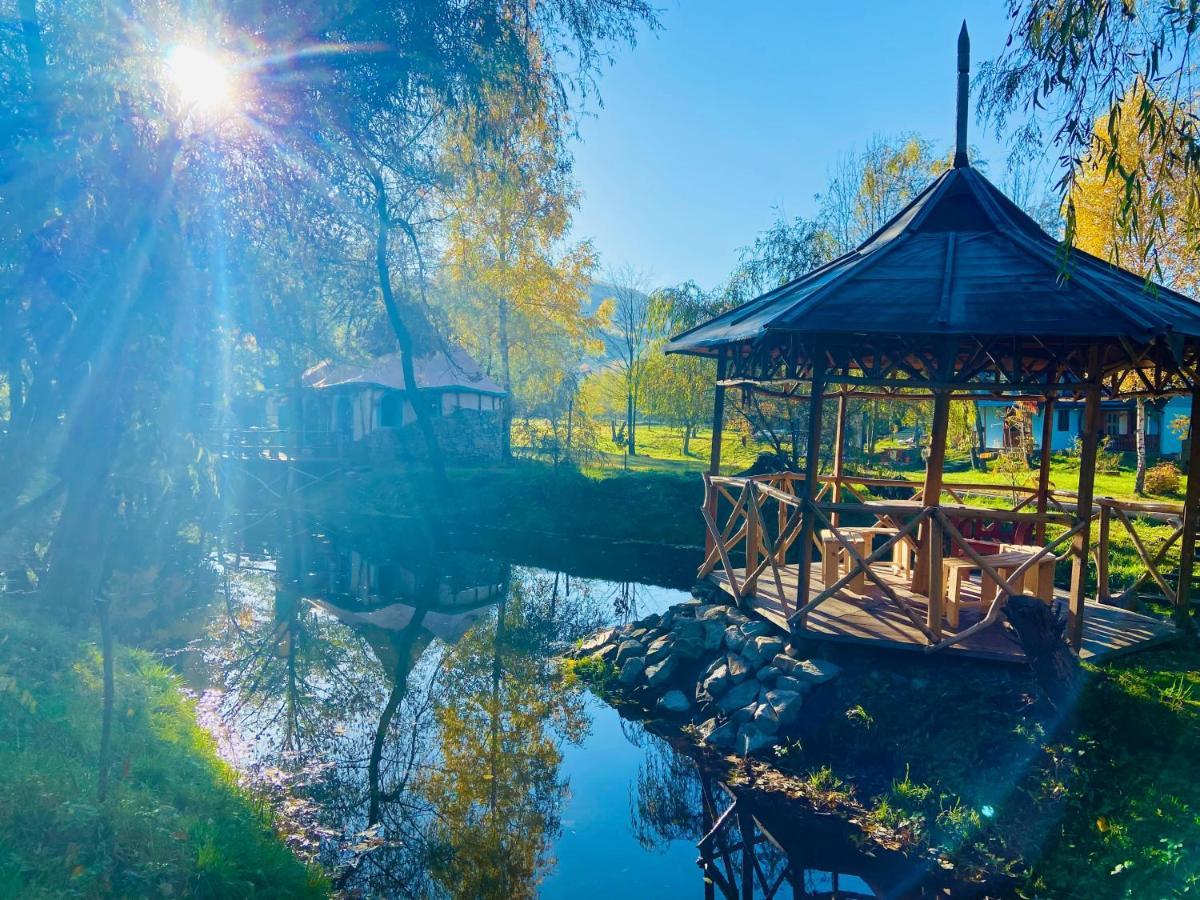 Viewtopia The Secret Land Valea Draganului Exterior photo