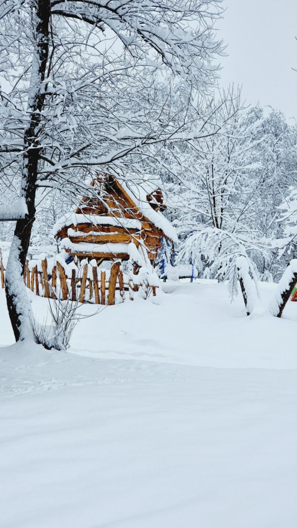 Viewtopia The Secret Land Valea Draganului Exterior photo
